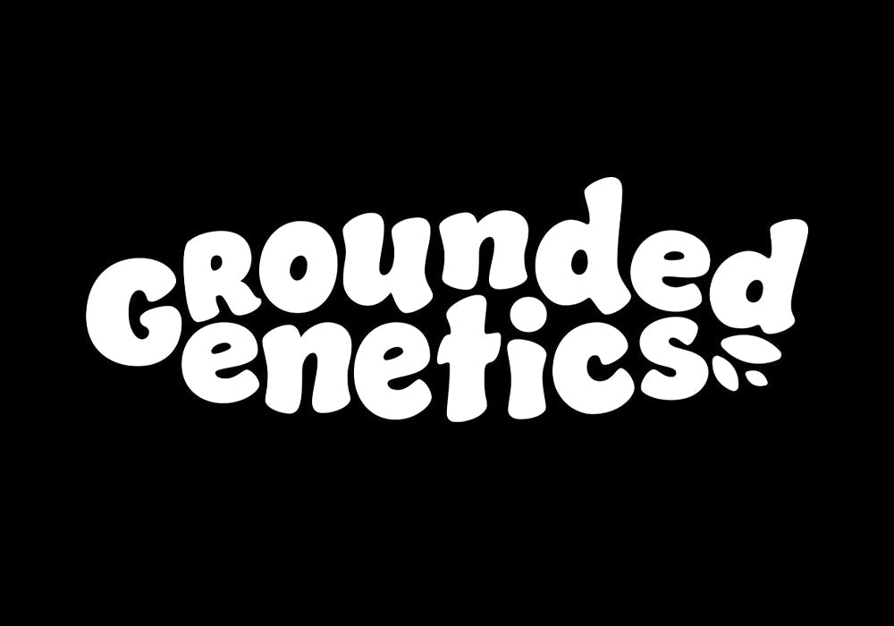Weiße Blasenbuchstaben mit der Aufschrift Grounded Genetics auf schwarzem Hintergrund, mit drei kleinen Blattformen unter dem Buchstaben e in Genetics.