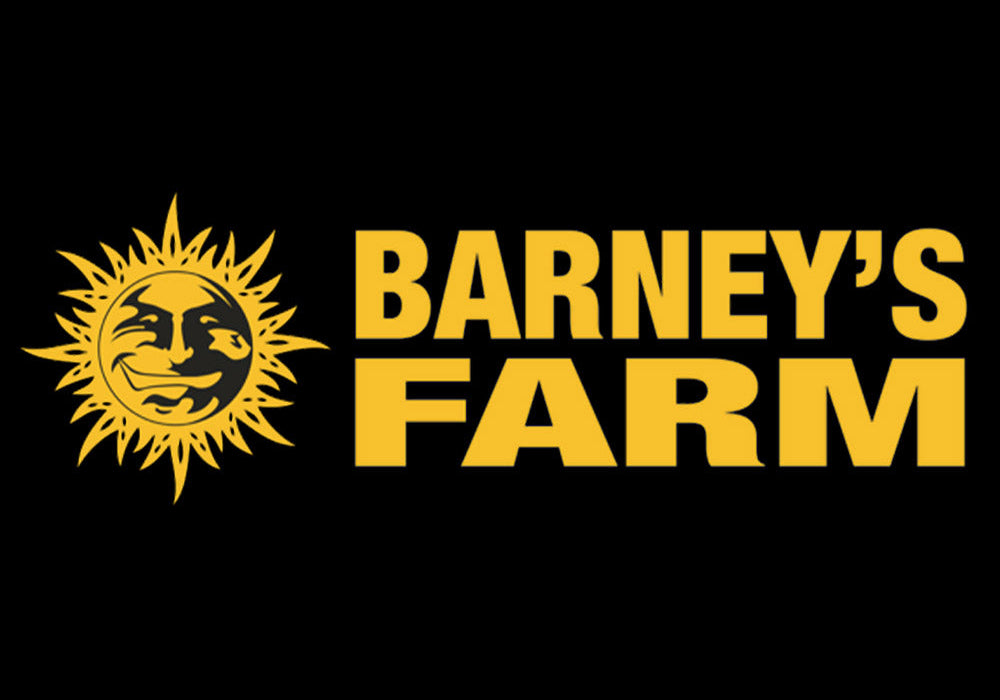 Gelbe Sonne mit menschlichem Gesicht und Strahlen auf schwarzem Hintergrund, daneben die fette gelbe Schrift BARNEYS FARM.