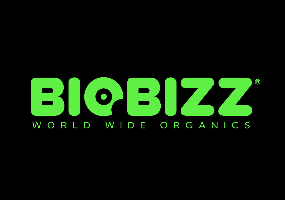 Hellgrünes BIOBIZZ-Logo mit der Tagline WORLD WIDE ORGANICS in kleinerem grünen Text darunter, alles auf schwarzem Hintergrund.
