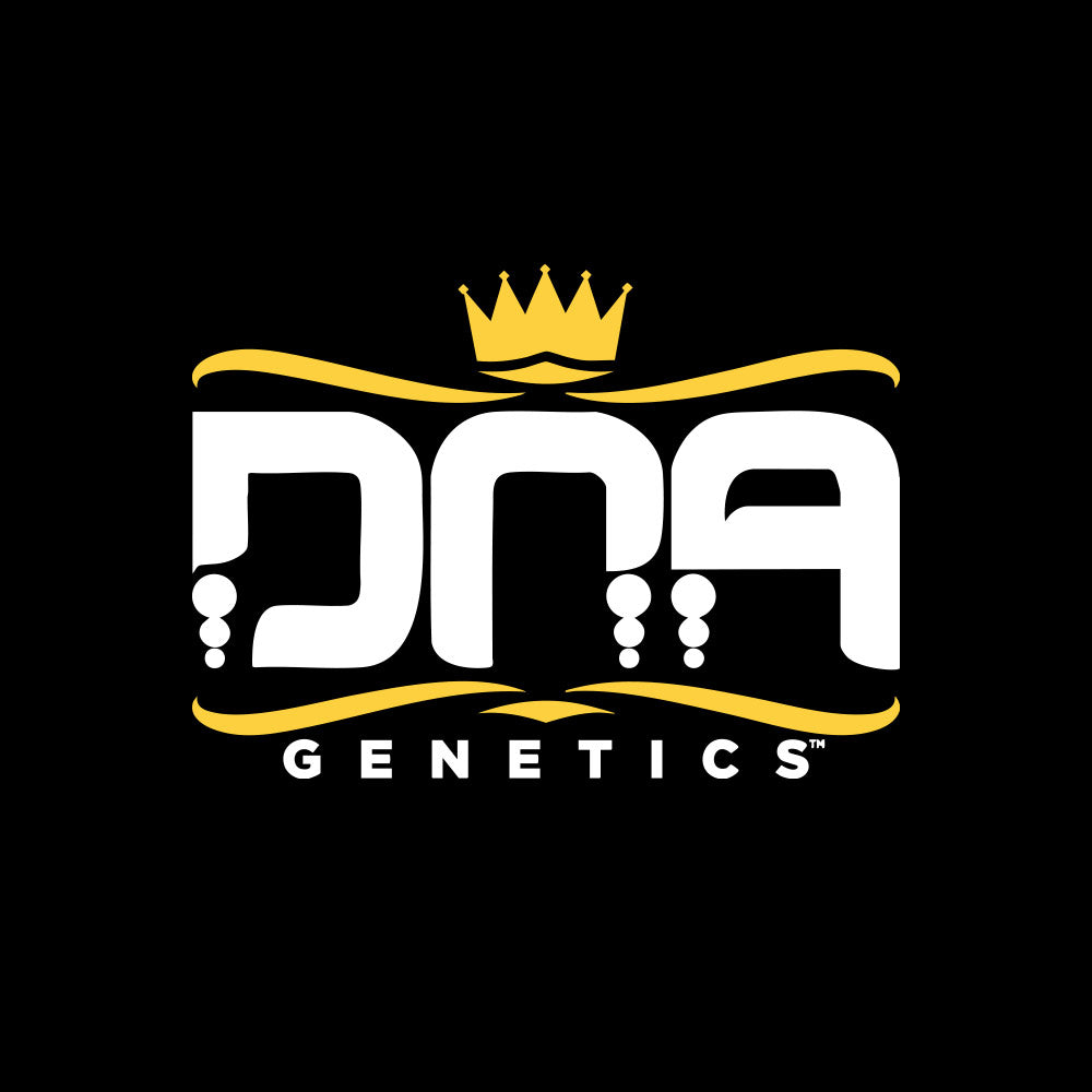 Weißer Text DNA mit drei Punkten unter jedem Buchstaben, darüber eine goldene Krone und darunter GENETICS in Gold auf schwarzem Hintergrund mit goldenen Zierlinien.