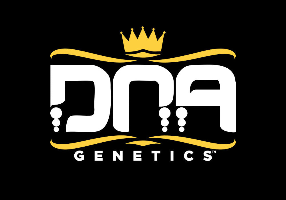 Logo mit dem Wort DNA in fetten weißen Buchstaben, verziert mit goldenen Akzenten und einer goldenen Krone darüber. Darunter erscheint GENETICS in gelber Schrift auf schwarzem Hintergrund.