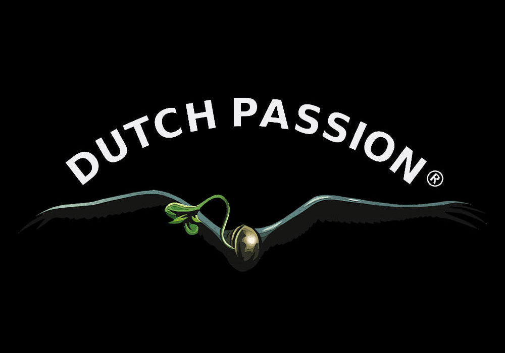 Logo mit dem Schriftzug DUTCH PASSION über einem stilisierten schwarzen Vogel im Flug, der eine grüne Cannabis-Sprosse im Schnabel hält, alles auf schwarzem Hintergrund.