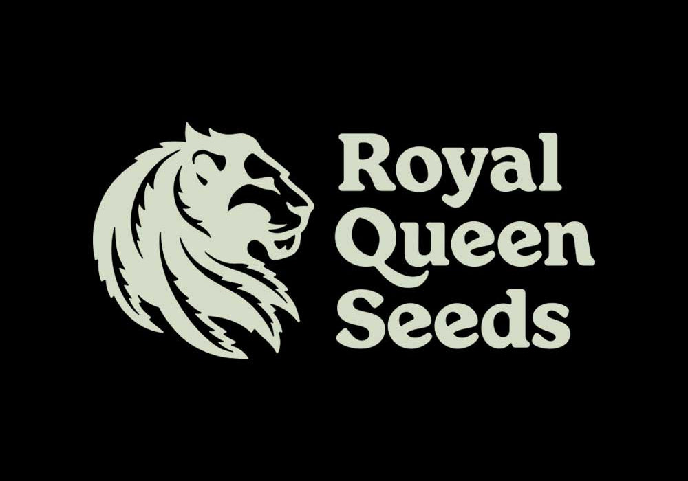 Links neben dem Schriftzug Royal Queen Seeds erscheint ein stilisierter Löwenkopf in hellbeiger Farbe auf schwarzem Hintergrund.