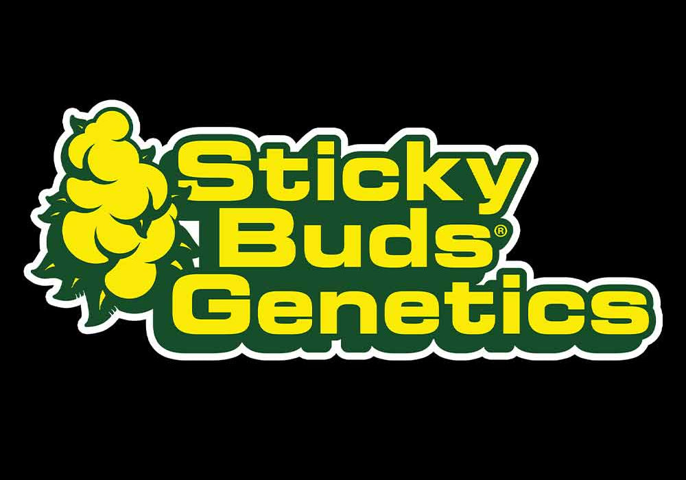 Logo für Sticky Buds Genetics mit gelbem und grünem Hopfen auf der linken Seite und fettem gelben und grünen Text mit der Aufschrift Sticky Buds Genetics auf schwarzem Hintergrund.