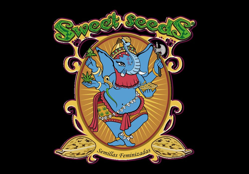 Das farbenfrohe, verschnörkelte Logo zeigt eine blaue, elefantenköpfige Figur, die in einem goldenen ovalen Rahmen tanzt, mit Sweet Seeds in Grün darüber und Semillas Feminizadas darunter.