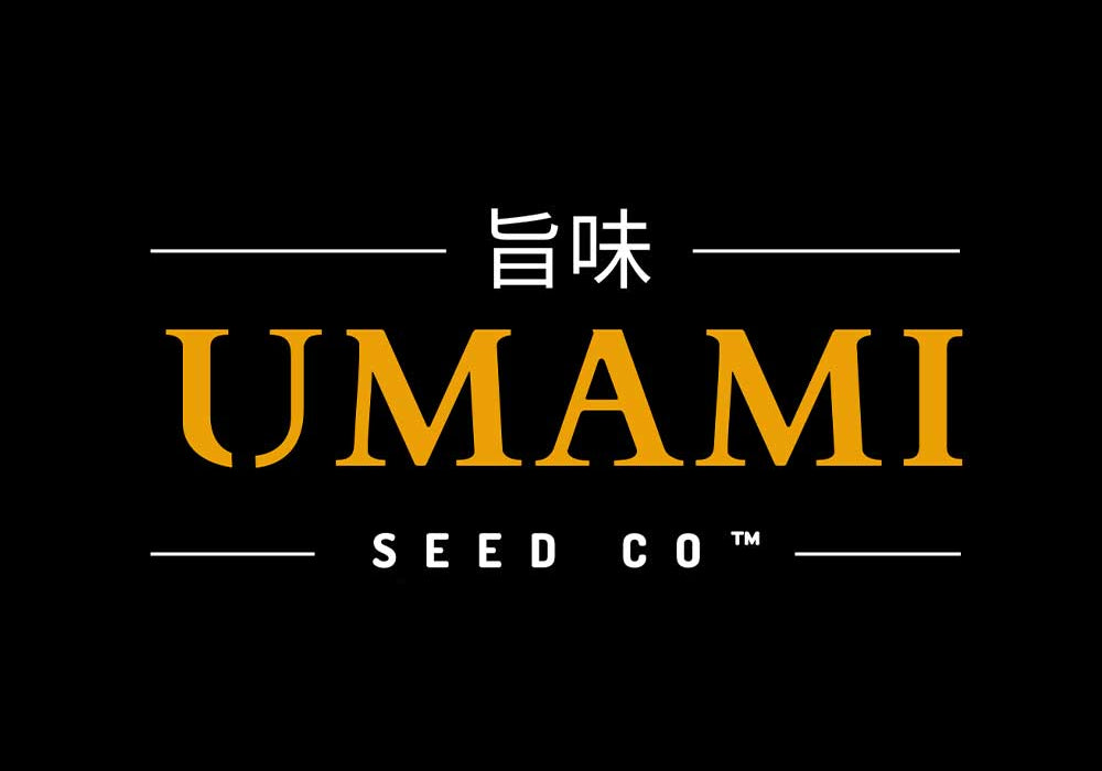 Logo für Umami Seed Co. mit dem Wort UMAMI in großen orangefarbenen Buchstaben, darüber japanische Schriftzeichen und darunter SEED CO, alles auf schwarzem Hintergrund mit weißen Linien.