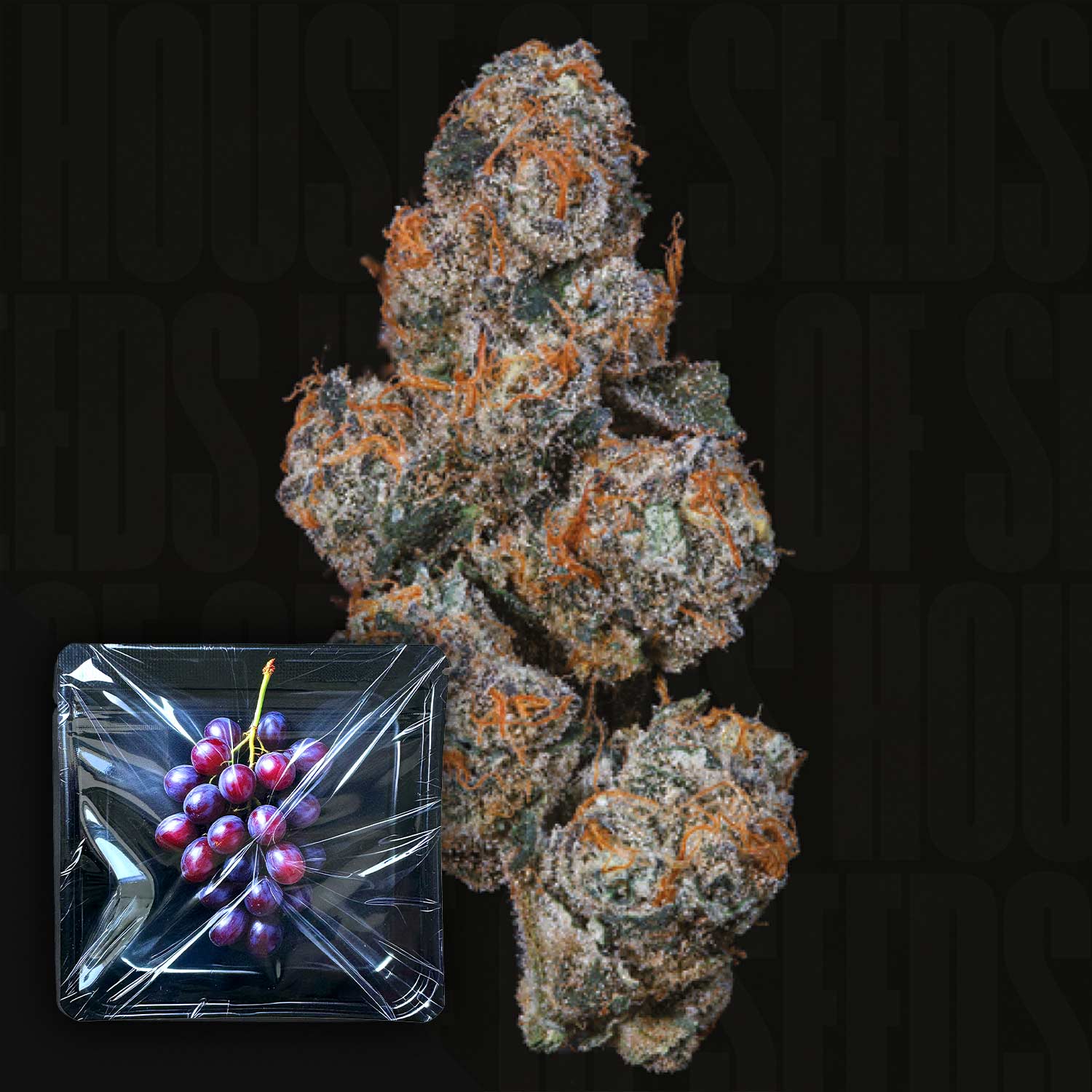 Nahaufnahme von lila und orangen Grape Squeeze Cannabisknospen von Nine Weeks Harvest, daneben Traubenbehälter vor dunklem Hintergrund