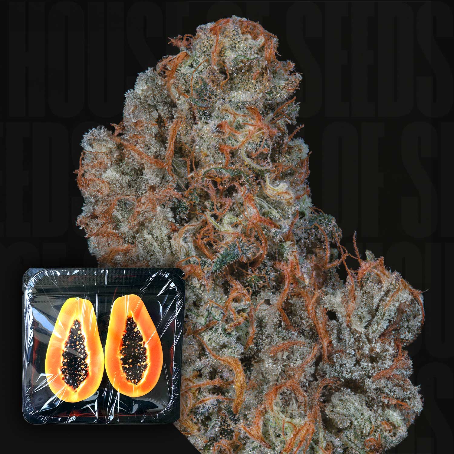 Riviera Drip von Nine Weeks Harvest: eine Cannabis-Knospe mit orangefarbenen Haaren neben einer aufgeschnittenen Papaya in Plastikfolie.