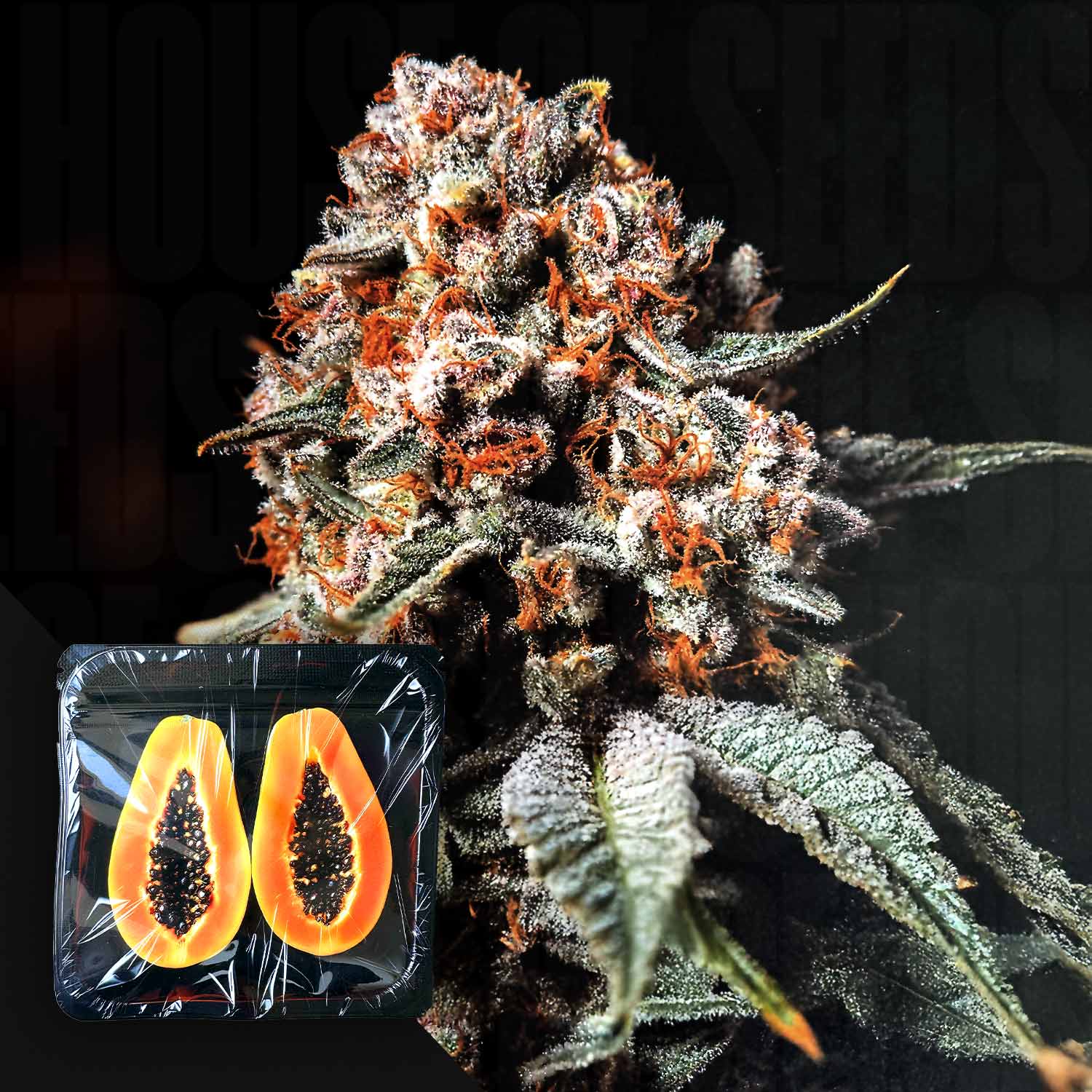 Eine frostige Super Drip Knospe von Nine Weeks Harvest liegt neben einem Tablett mit zwei Papaya-Hälften.