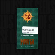 Grüne Barney’s Farm Samenpackung „Blue Gelato 41 (3 feminized)“ mit Sonnenlogo und Aufschrift „Souvenirs from Holland“