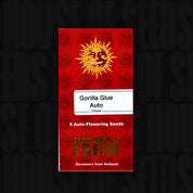 Rote Gorilla Glue Auto Verpackung von Barneys Farm für 5 Auto-Flowering Seeds mit Sonne und Text Souvenirs aus Holland