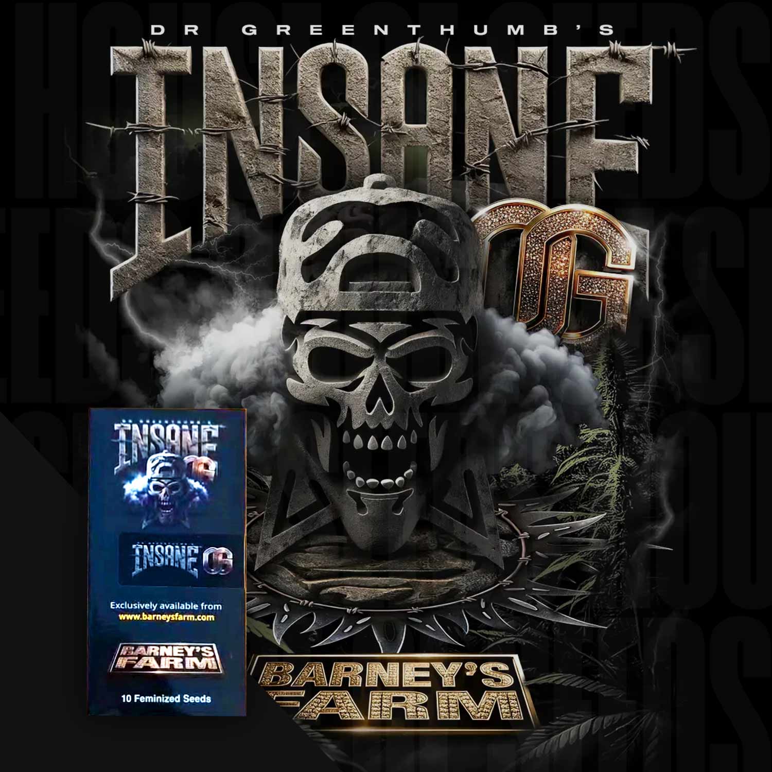 Samenpackung „Insane OG“ von Barney’s Farm mit Totenkopf im Tarnhelm, großem Schriftzug und Hinweis auf 10 feminisierte Samen