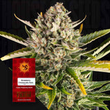 Strawberry Cheesecake Auto