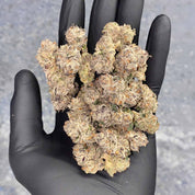 CIG-SZ-0