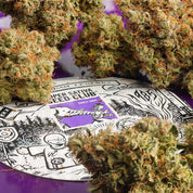 Nahaufnahme Cannabisknospen mit orangen Haaren, daneben Super Sativa Seed Club Dose von Auto Elephant