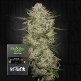 HighCloudZ Auto