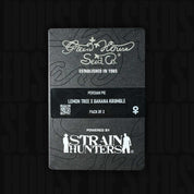 Persian Pie Samen von Green House Seeds, Packung mit 3 Samen, Lemon Tree x Banana Krumble.