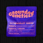 Lila Grounded Genetics Ultraviolet Sherb Packung mit orangem Text, Limited Edition Feminisierte Samen