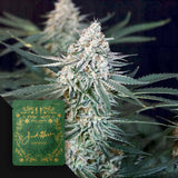 Haze Weaver