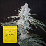 Lemon Jack Cake