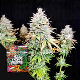 Grateful End OG