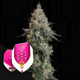 Grape Ape