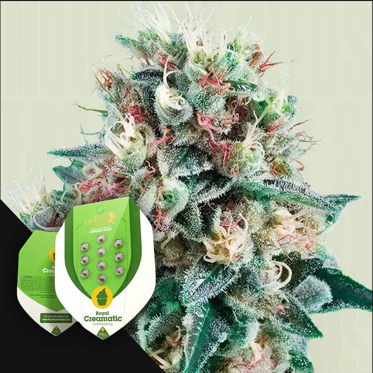 RQS-RCM-0