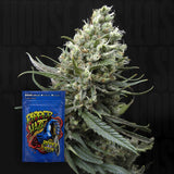 Ripper Haze