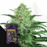Sideral