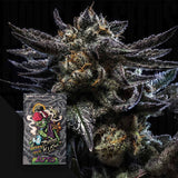 Zombie Kush Auto