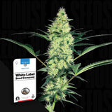 White Diesel
