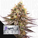 Gorilla Super Glue