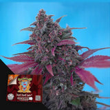 Dark Devil Auto