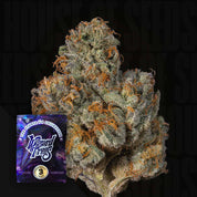 Big Ben Cannabis Knospe von Wizard Trees mit orangefarbenen Haaren, frostigen Trichomen und Verpackung unten links