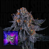 Wizard Fuel