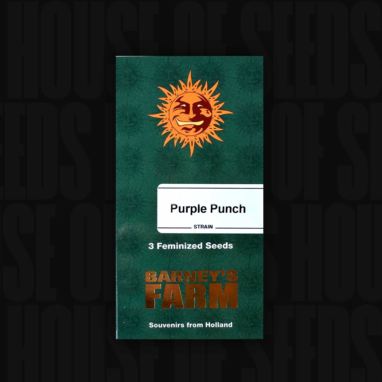 Grüne Barney’s Farm Packung Purple Punch mit Sonnenlogo, Aufschrift 3 feminisierte Samen und Text Souvenirs from Holland