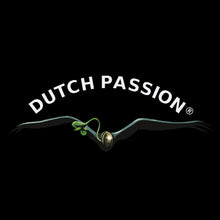 Logo von Dutch Passion