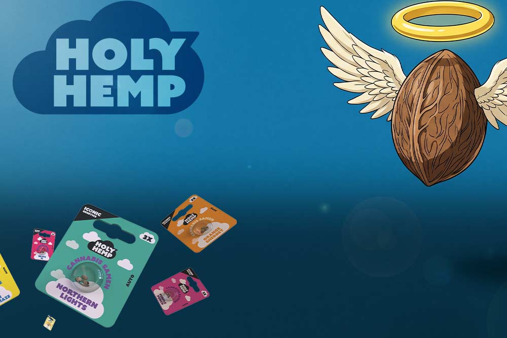 holy-hemp-aktion-Kopie.jpg
