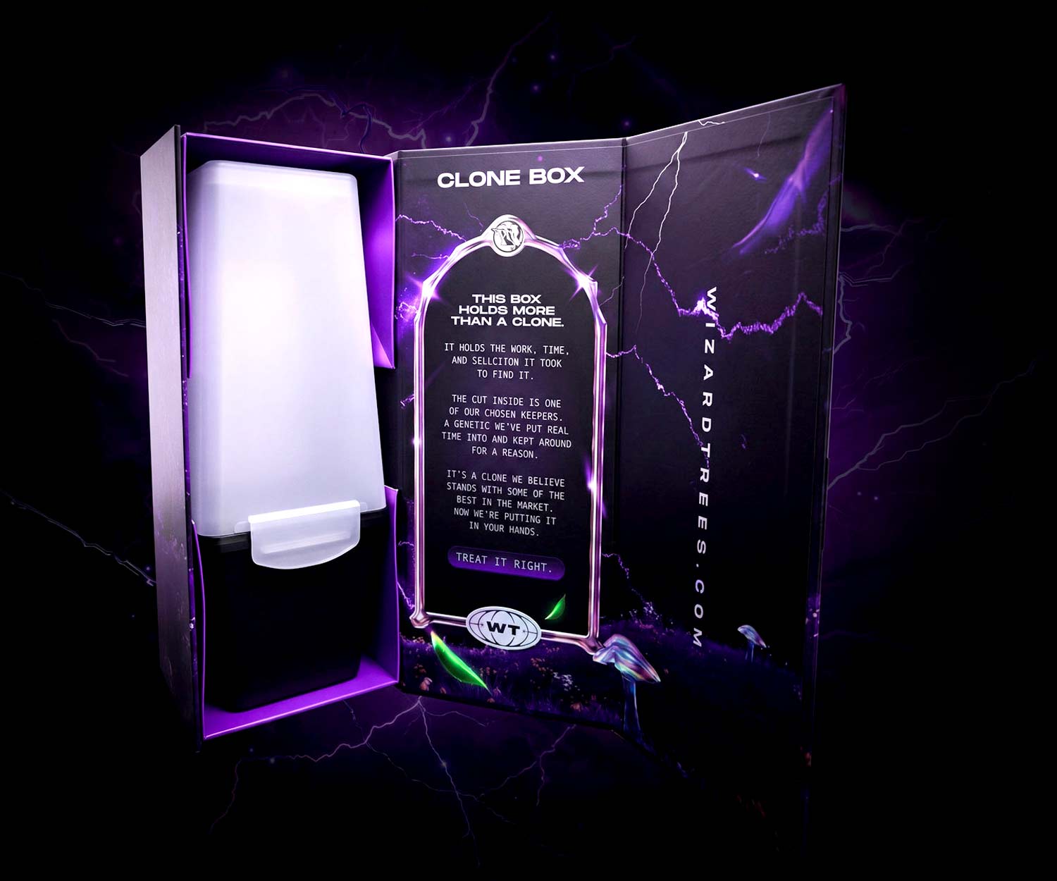 wizard-clone-box_35487162-797e-4344-a442-512139b645bb.jpg